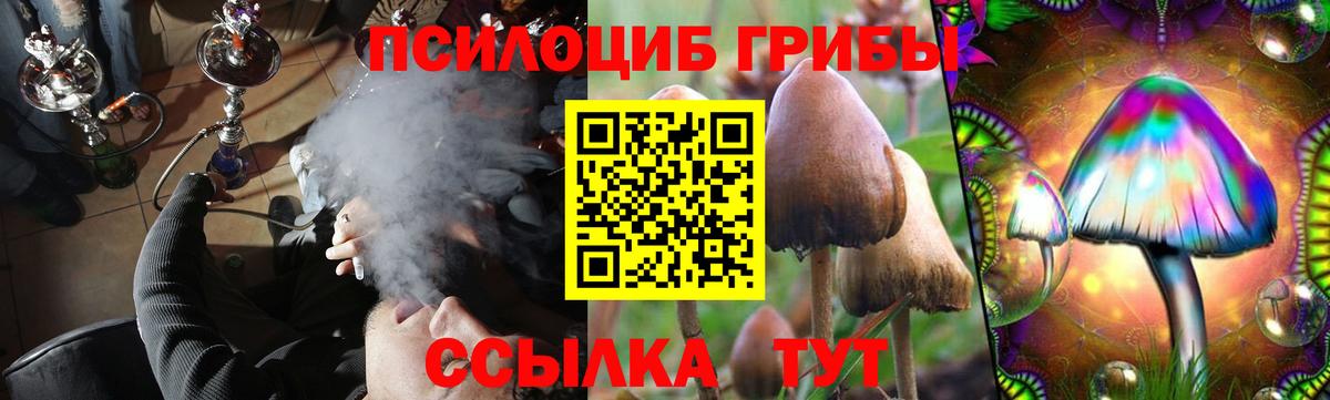 Псилоцибиновые грибы мухоморы Киселёвск